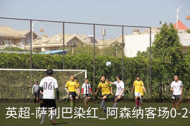 英超-萨利巴染红 阿森纳客场0-2伯恩茅斯